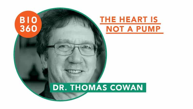 ᐅ The heart is not a pump – Dr. Thomas Cowen