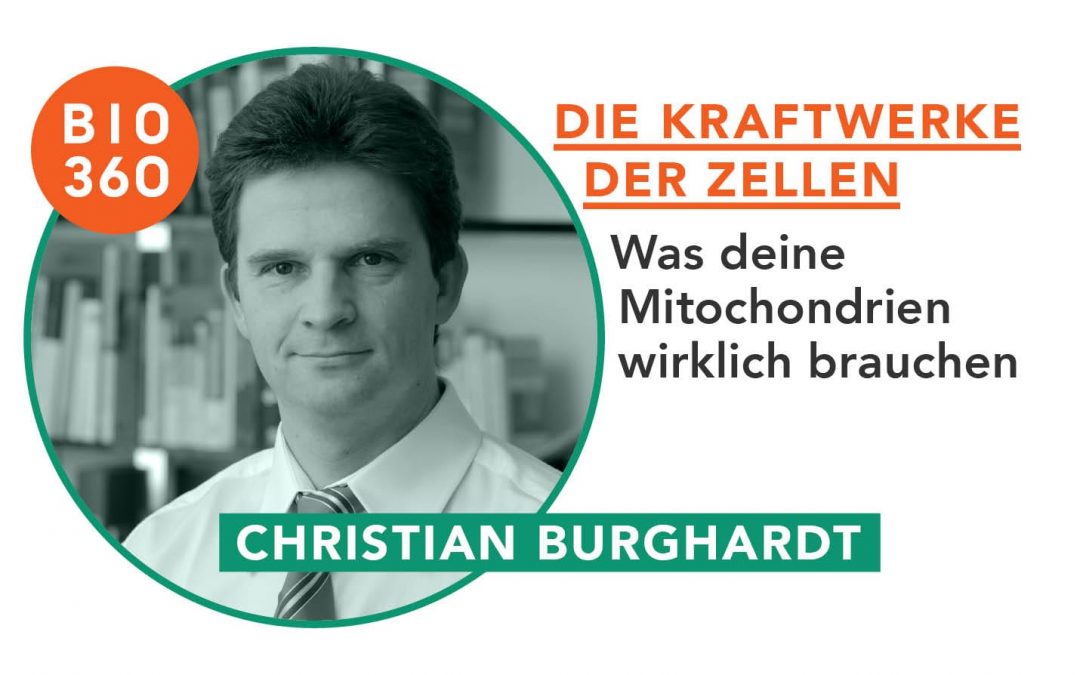 Die Kraftwerke der Zellen: Christian Burghardt