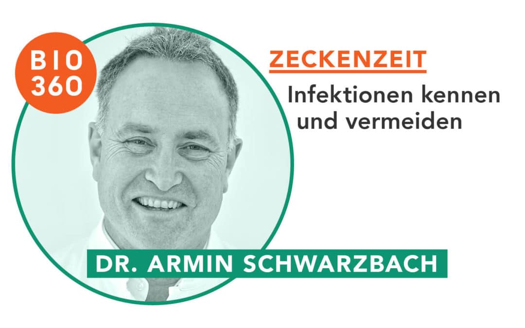 Armin - Zeckenzeit