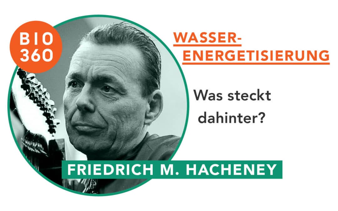 Wasserenergetisierung_Friedrich Hacheney